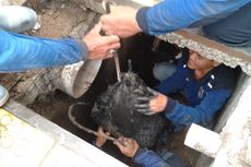 Tumpukan Tanah Dalam Karung Ditemukan di Gorong-gorong Panglima Polim