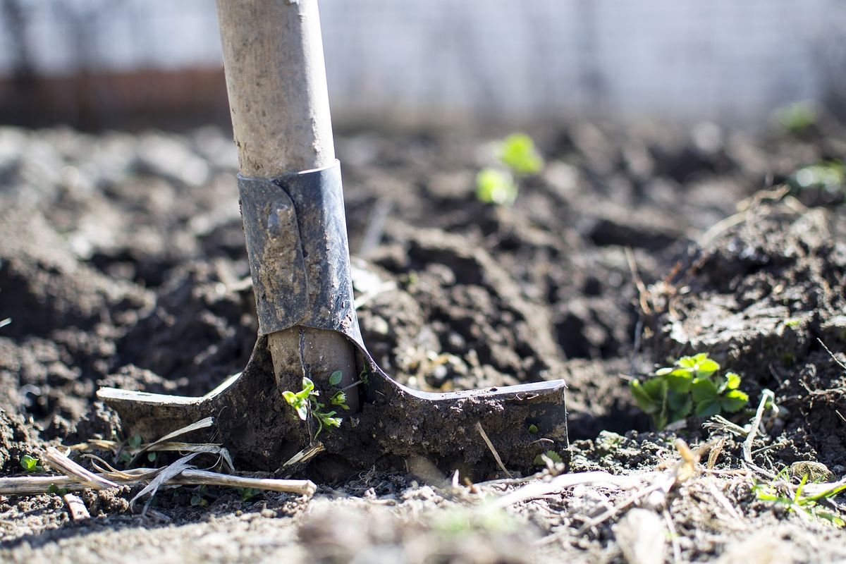 Ilustrasi pengolahan lahan