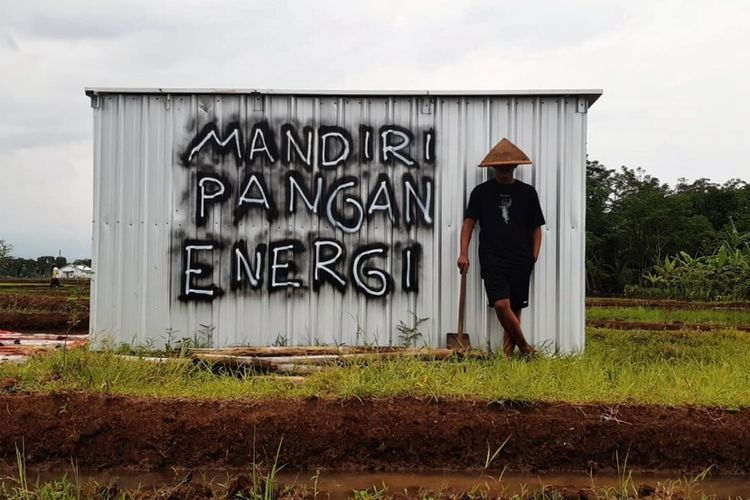 Sejumlah muda-mudi yang tergabung dalam komunitas Harvestmind menggarap sawah organik terintegrasi energi ramah lingkungan di Desa Karangpetir, Kecamatan Kalimanah, Kabupaten Purbalingga, Jawa Tengah.