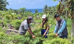 Menembus Jarak dan Medan Sulit, Mantri BRI Dampingi UMKM di Kepulauan Talaud