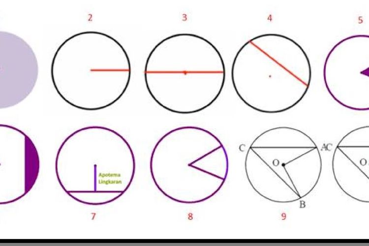 Garis lurus yang menghubungkan dua titik pada suatu lingkaran dan melewati titik pusat disebut