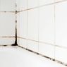5 Cara Mengenali Tumbuhnya Jamur di Kamar Mandi Anda
