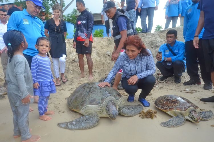 Menteri Kelautan dan Perikanan Susi Pudjiastuti melepasliarkan spesies dilindungi, penyu dan ikan napoleon, di perairan Natuna, Kepulauan Riau, Sabtu (11/5/2019).