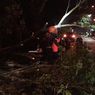 Tertimpa Pohon Tumbang yang Disenggol Mobil Boks di JLS Salatiga, Pengendara Motor Terluka