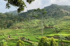 5 Tips Trekking di Leuwi Hejo Bogor, Jangan Bawa Barang Terlalu Banyak