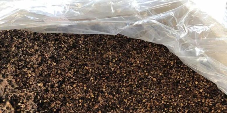 Sebanyak 574 kilogram andaliman (Zanthoxylum acanthopodium DC) ) milik CV SZT untuk pertama kalinya diekspor ke Jerman. Nilainya mencapai Rp 431 juta difasilitasi Kementerian Pertanian melalui Karantina Pertanian Belawan.