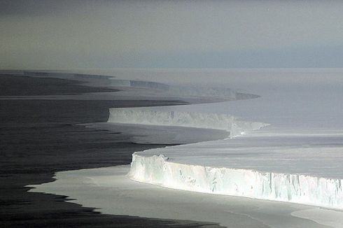 “Dunia Tersembunyi” Kehidupan Laut Ditemukan di Sungai Bawah Es Antartika