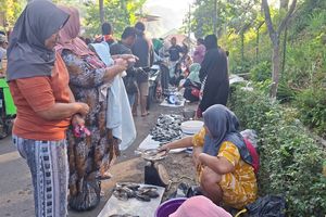 Fenomena Koyo di Ranu Klakah Lumajang, Warga Berburu Ikan 'Mabuk'