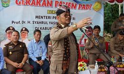 Panen Raya, Mentan SYL Pastikan Ketersediaan Beras di DIY Melimpah
