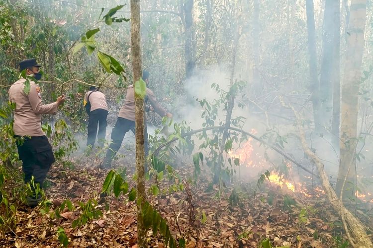 Karhutla di Way Kambas Terkendala Peralatan, Hanya Satu Mesin Bertekanan Tinggi Beroperasi