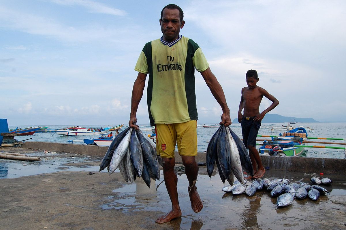 Nelayan membawa tangkapan ikan di Dermaga Pusat Pelelangan Ikan di Pantai Hamadi, Kota Jayapura, Papua.