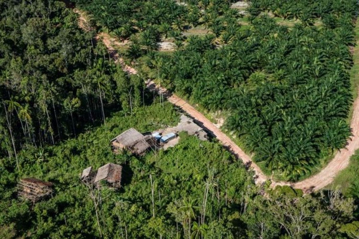 Pada 2015 marga pemilik hak ulayat sepakat untuk melepas hutan adat mereka dengan menerima ganti rugi Rp100.000 untuk tiap hektar hutan adat yang kini menjadi area PT Tunas Sawa Erma Blok-E seluas 19.000 hektar.