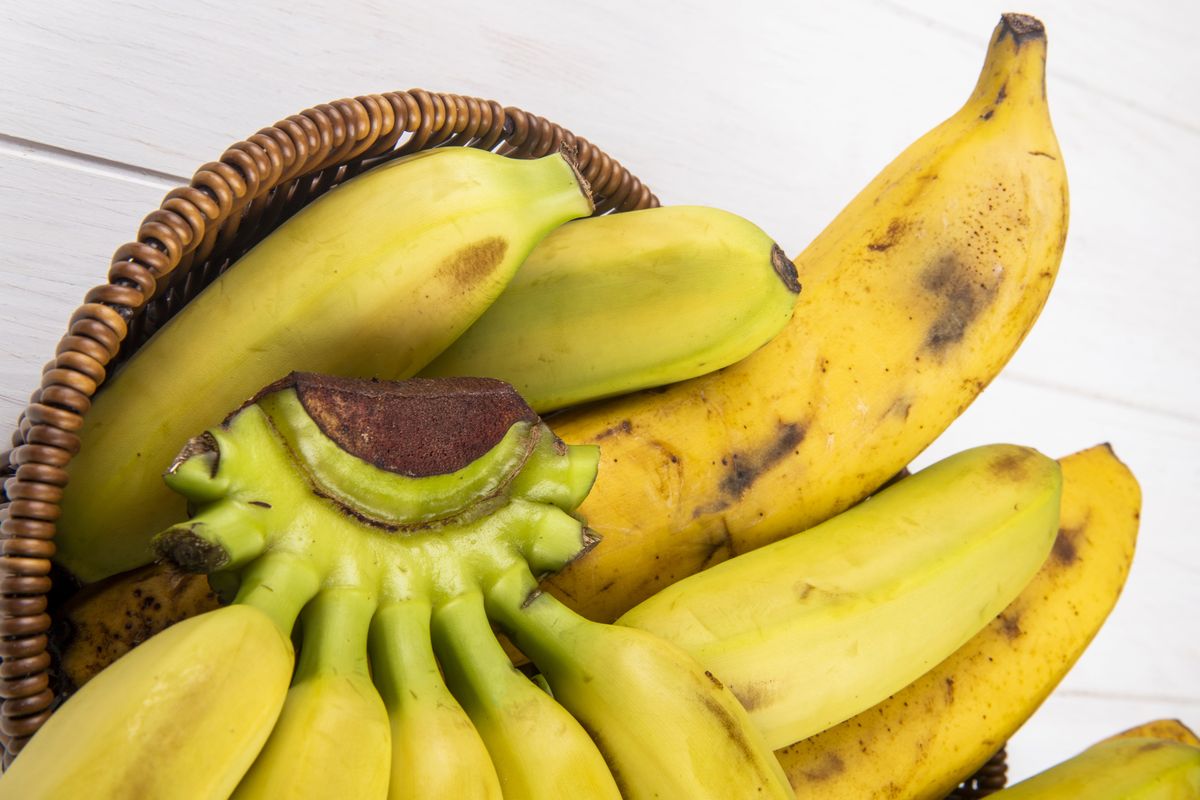Kulit pisang menipis saat matang karena proses osmosis