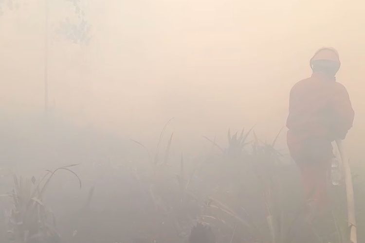 Lonjakan Drastis Titik Api hingga 3.026 Hotspot Terdeteksi di Enam Wilayah Sumsel
