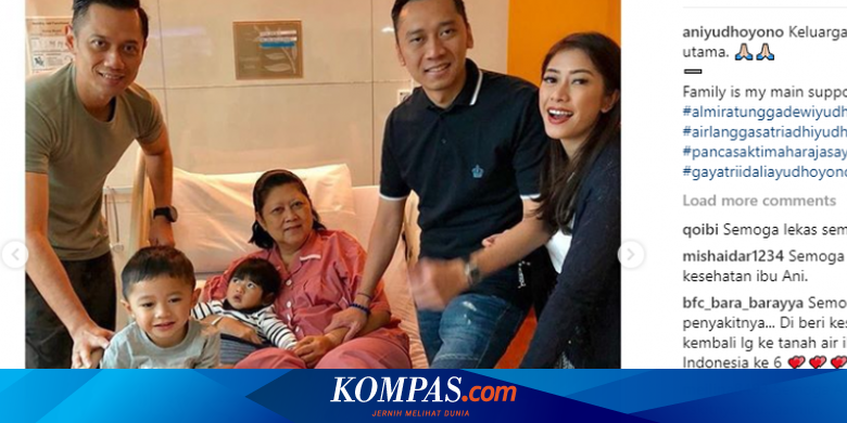 Pemerintah Pastikan Beri Pelayanan Optimal Bagi Ani Yudhoyono