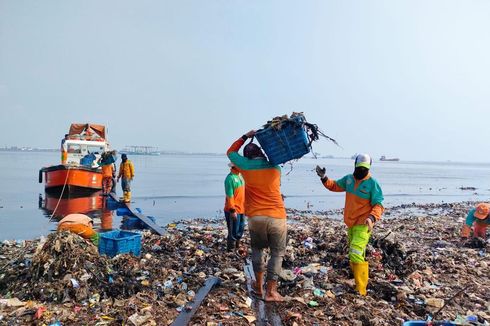 Tumpukan Sampah di Pantai Mangrove Muara Angke Akhirnya Dibersihkan