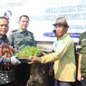 Tekan Inflasi Pangan, Pemkot Tangerang Lakukan Gerakan Tanam Cabai 