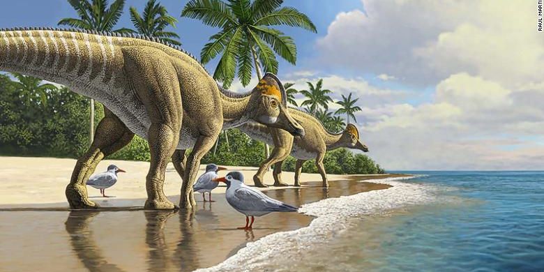 Evolusi Ajnabia odysseus (dinosaurus berparuh bebek) bermula di Amerika Utara, sebelum menyebar ke Asia, Eropa, dan kemudian Afrika.
