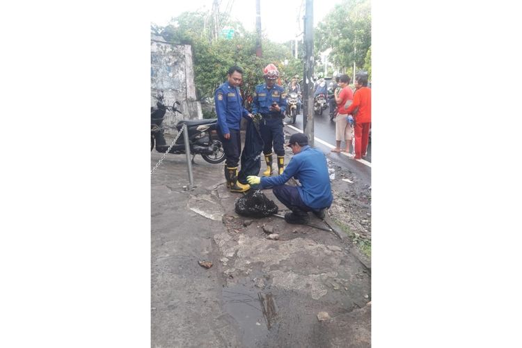 Petugas Suku Dinas Penanggulangan Kebakaran dan Penyelamatan (Sudin PKP) Jakarta Timur saat evakuasi seekor anjing liar yang kerap meresahkan warga di Jalan Raya Penggilingan, RW 03, Cakung, Jakarta Timur, Sabtu (1/2/2020).