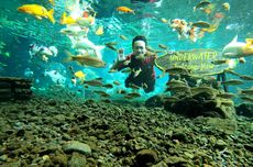 Pemandian Tirtosari Lumajang, Bisa Foto Underwater Bareng Ikan-ikan