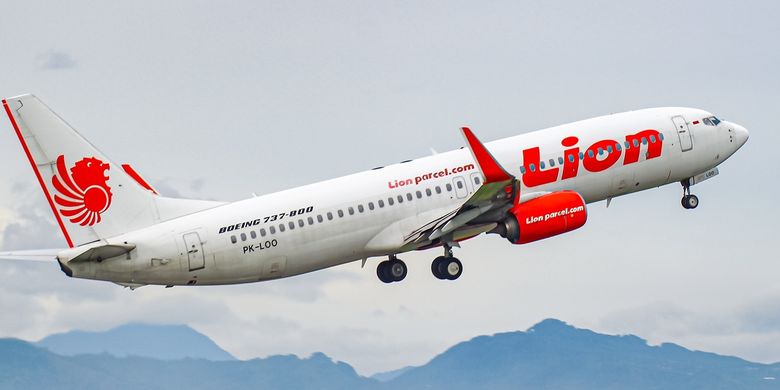 Pesawat Lion Air Boeing 737-800NG. Cara check in online Lion AIr