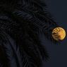 Fenomena Langka Bulan Baru Stroberi Mikro pada 29 Juni, Catat Waktunya