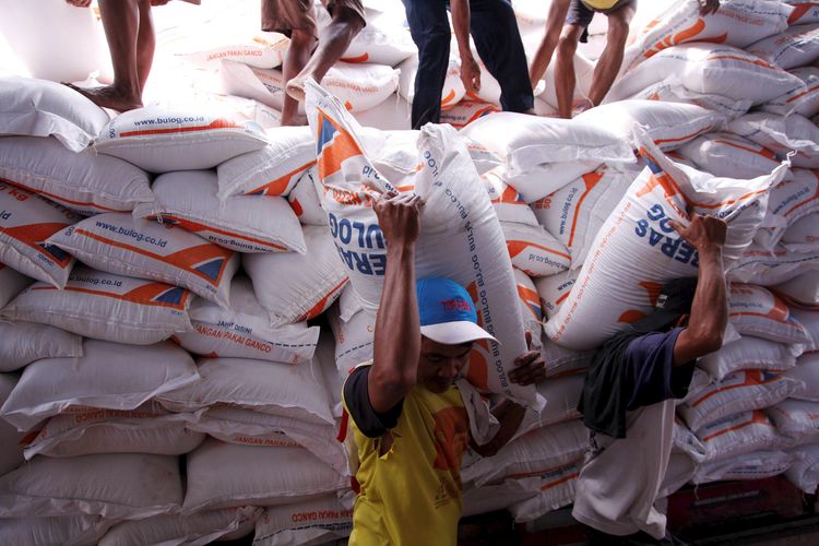 Pekerja menurunkan beras impor yang didatangkan dari Vietnam menggunakan kapal My Vuong melalui Pelabuhan Tanjung Priok di gudang milik Perum Bulog Divisi Regional Jakarta-Banten, di kawasan Kelapa Gading, Jakarta Utara, Selasa (13/11). Sebanyak 13.100 ton beras impor dari Vietnam akan masuk ke gudang Bulog.