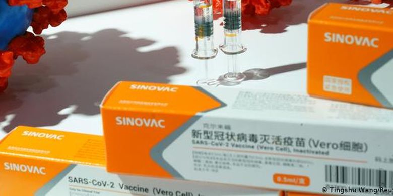An illustration of Covid-19 vaccine produced by Chinese drug maker Sinovac Biotech Ltd. 