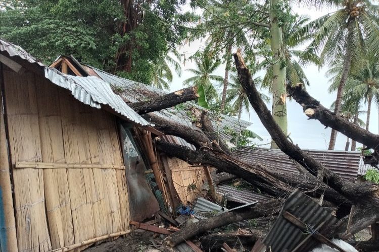 Foto: Rumah Daniel Linome (50) warga RT 017 RW 005, Kelurahan Waioti, Kecamatan Alok Timur, Kabupaten Sikka, roboh akibat tertimpa pohon, Selasa (8/11/2022).