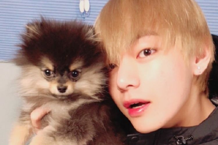 Member BTS V dan anjingnya, Yeontan