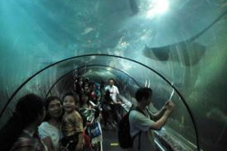 Sejumlah pengunjung melihat berbagai jenis ikan dan binatang laut yang berada di akuarium raksasa SeaWorld, Taman Impian Jaya Ancol, Jakarta Utara, Selasa (6/8/2013). Pada saat libur Lebaran, berbagai tempat wisata diserbu warga untuk mengisi waktu liburan.