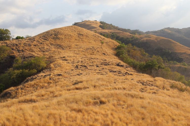 Pengunjung dapat berfoto dengan latar bukit di bagian selatan. 