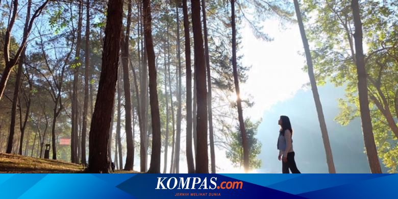 Melancong Ke Thailand Yuk Berburu Kabut Di Mae Hong Son Halaman All Kompas Com