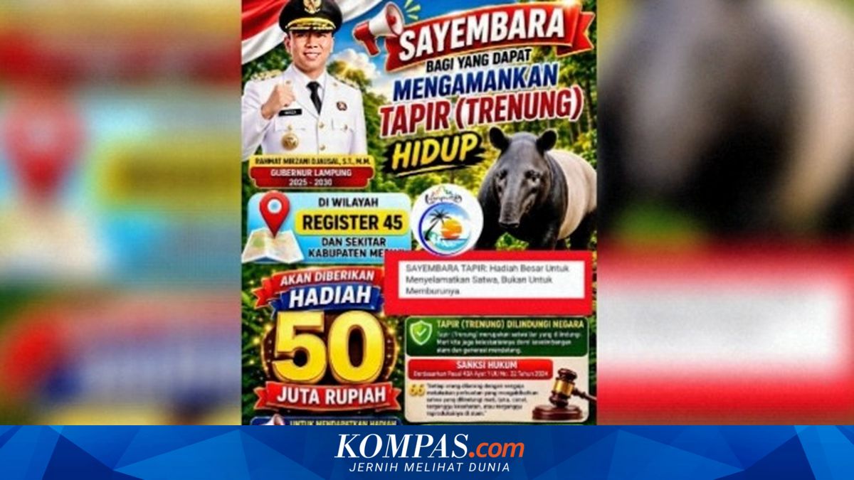 Sayembara Berhadiah Rp 50 Juta untuk Selamatkan Tapir Hidup di Mesuji Lampung