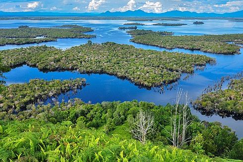 Taman Nasional Danau Sentarum, Kawasan Konservasi Lahan Basah Terbesar di Indonesia