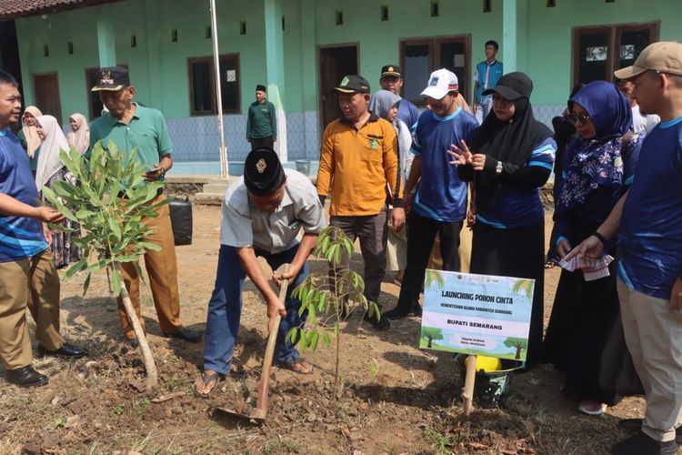 Kisah Subakir, Duda 60 Tahun yang Tanam 