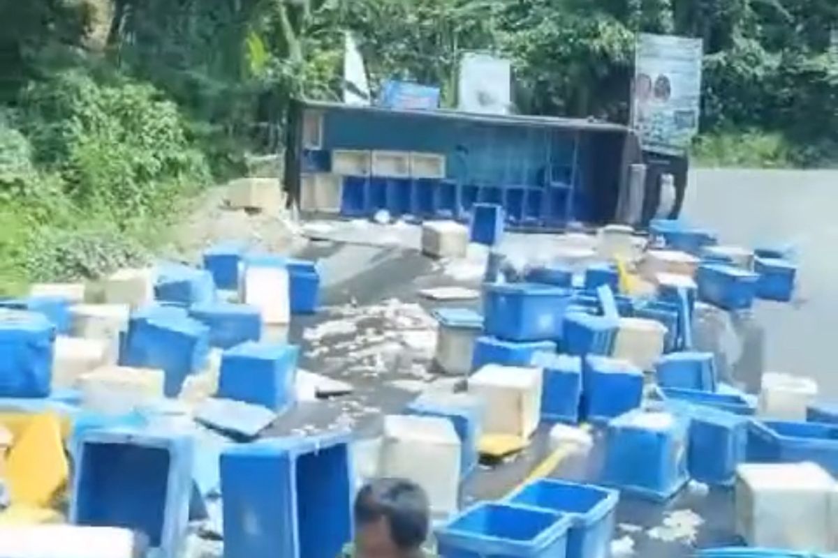 Truk pengangkut udang di Sukabumi mengalami kecelakaan dan terguling di Kampung Baed, Kecamatan Warungkiara, Kabupaten Sukabumi, Jawa Barat. Minggu (3/2/2025).