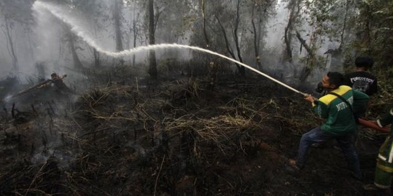 Relawan pemadam kebakaran berupaya memadamkan kebakaran lahan gambut di Kabupaten Banjar, Kalimantan Selatan, 21 Oktober. 