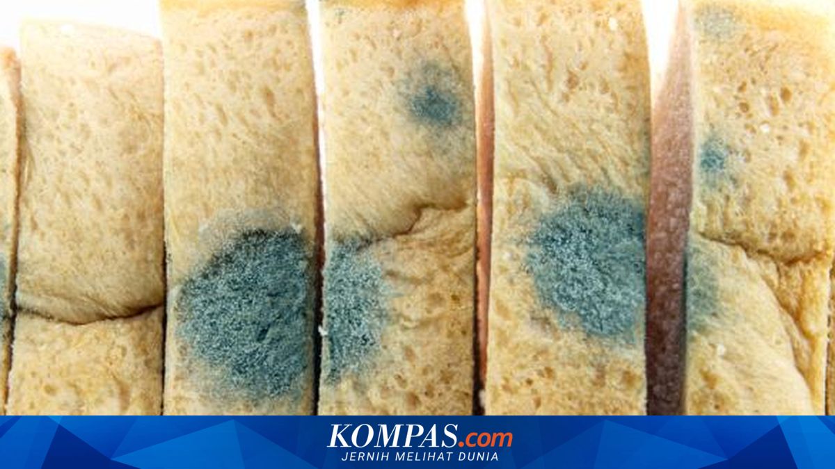 Bahaya Jamur pada Roti, Jangan Dikonsumsi