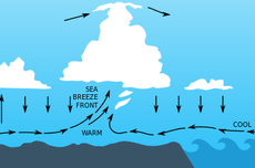Apa yang Dimaksud dengan Angin Laut?