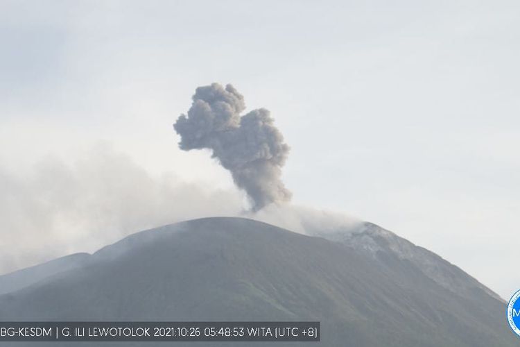 Foto : Gunung api Ile Lewotolok masih mengeluarkan erupsi pada Selasa (26/10/2021).