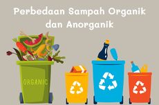 Perbedaan Sampah Organik dan Anorganik