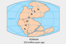 Pangea: Superbenua Kuno Bumi