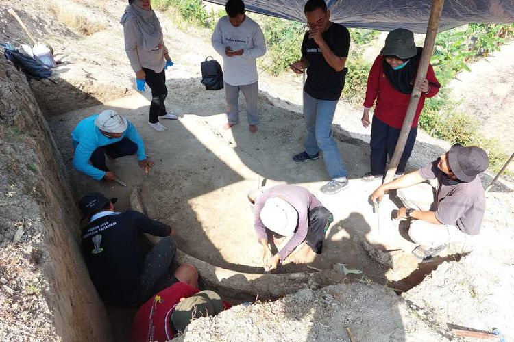 Penyelamatan fosil gading gajah purba (Stegodon Trigonocephalus) sepanjang 2,5 meter ditemukan terpendam di kawasan Situs Patiayam, Desa Terban, Kecamatan Jekulo, Kabupaten Kudus, Jawa Tengah pertengahan Agustus 2022.
