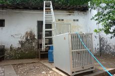 BKSDA Pasang Jebakan Tangani Kawanan Monyet Liar yang Masuk Permukiman Warga Sukorame Kediri