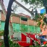 Sejumlah Pohon di Ambon Ditebang dan Dipangkas, Ini Alasannya