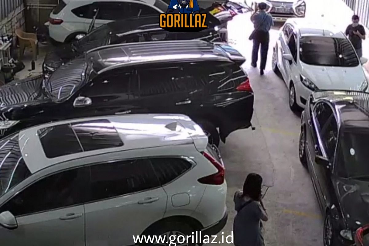 Franchise Cuci Mobil Gorillaz.