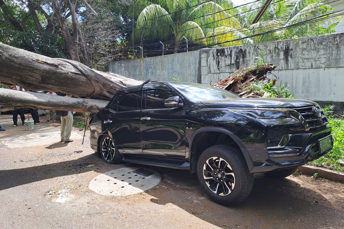 Mobil Fortuner ringsek karena tertimpa pohon besar di depan rumah Prabowo Subianto, Jalan Sriwijaya, Jakarta Selatan, Selasa (16/1/2024). 