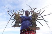 Dorong Konservasi dan Ekonomi, Masyarakat Kampung Salafen Uji Coba Wisata Buka Sasi