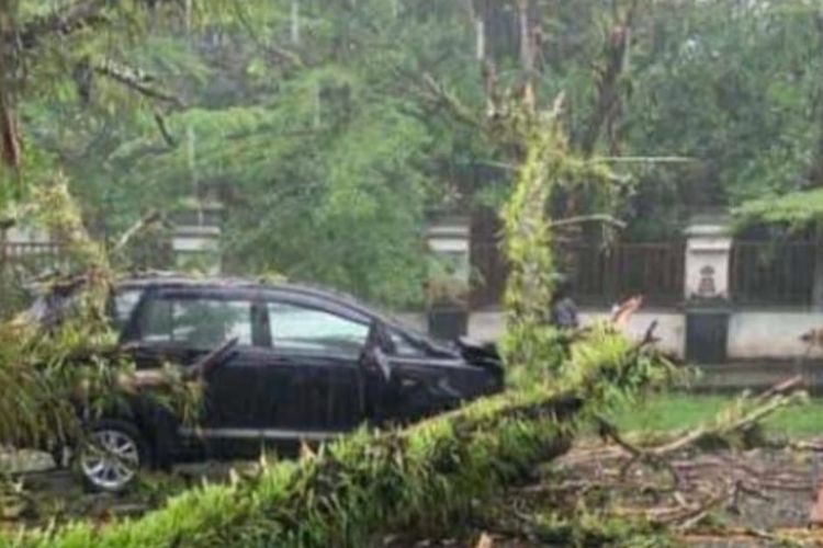 Sebuah mobil tertimpa pohon tumbang di depan kampus fakultas Hukum Universitas Pattimura Ambon, Selasa (5/7/2022)